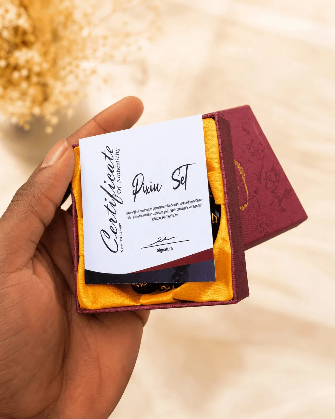 ZENDA Pixiu set with certificate and premium presentation